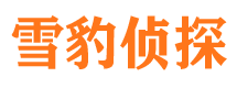 定安市私家侦探公司